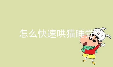 如何训练猫咪自己睡觉（怎样训练猫咪晚上睡觉）