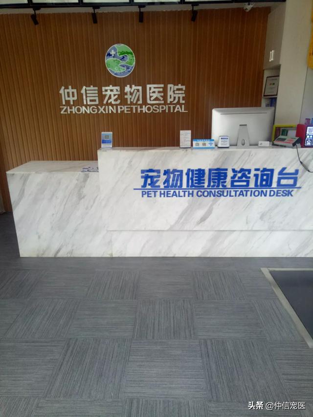 小狗什么时候打狂犬疫苗（小狗什么时候打狂犬疫苗多少钱）