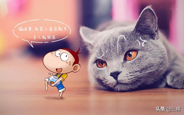 猫咪吃了塑料条多久会吐出来