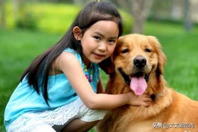养宠物的好处和坏处（建议穷人养的10种宠物）