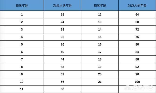 一年猫相当于几岁（不能养猫的三个属相）