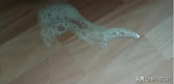 细小前期症状_细小1到7天表现症状图