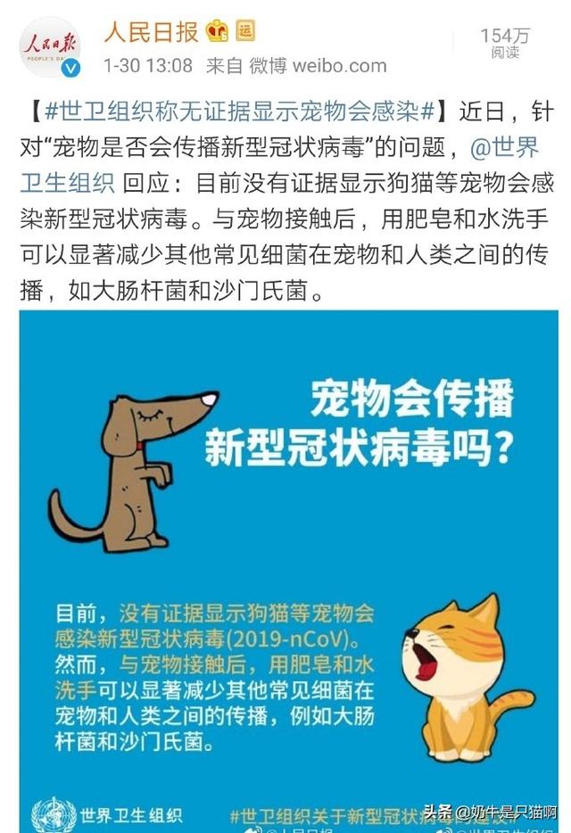 猫冠状病毒发病状况（猫冠状病毒致死吗）