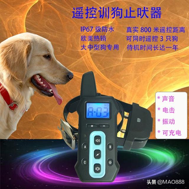 训狗方法 教你如何训练狗（训狗的方法）