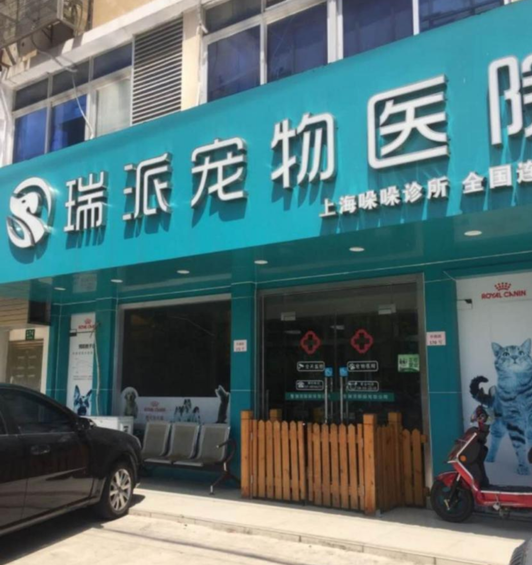 狗狗不吃东西怎么办只喝水怎么办