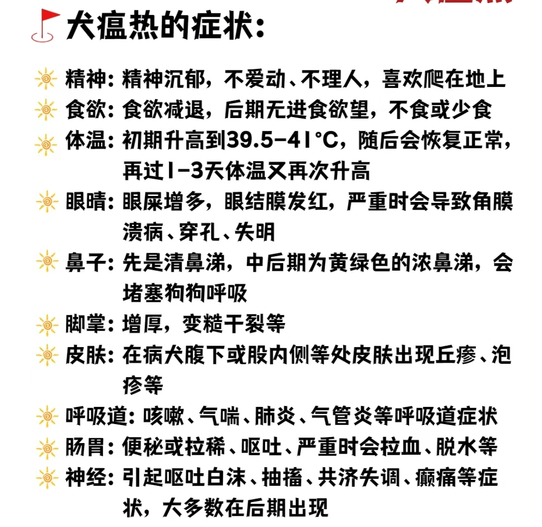 犬瘟试纸一条杠_犬瘟试纸一条杠都没有
