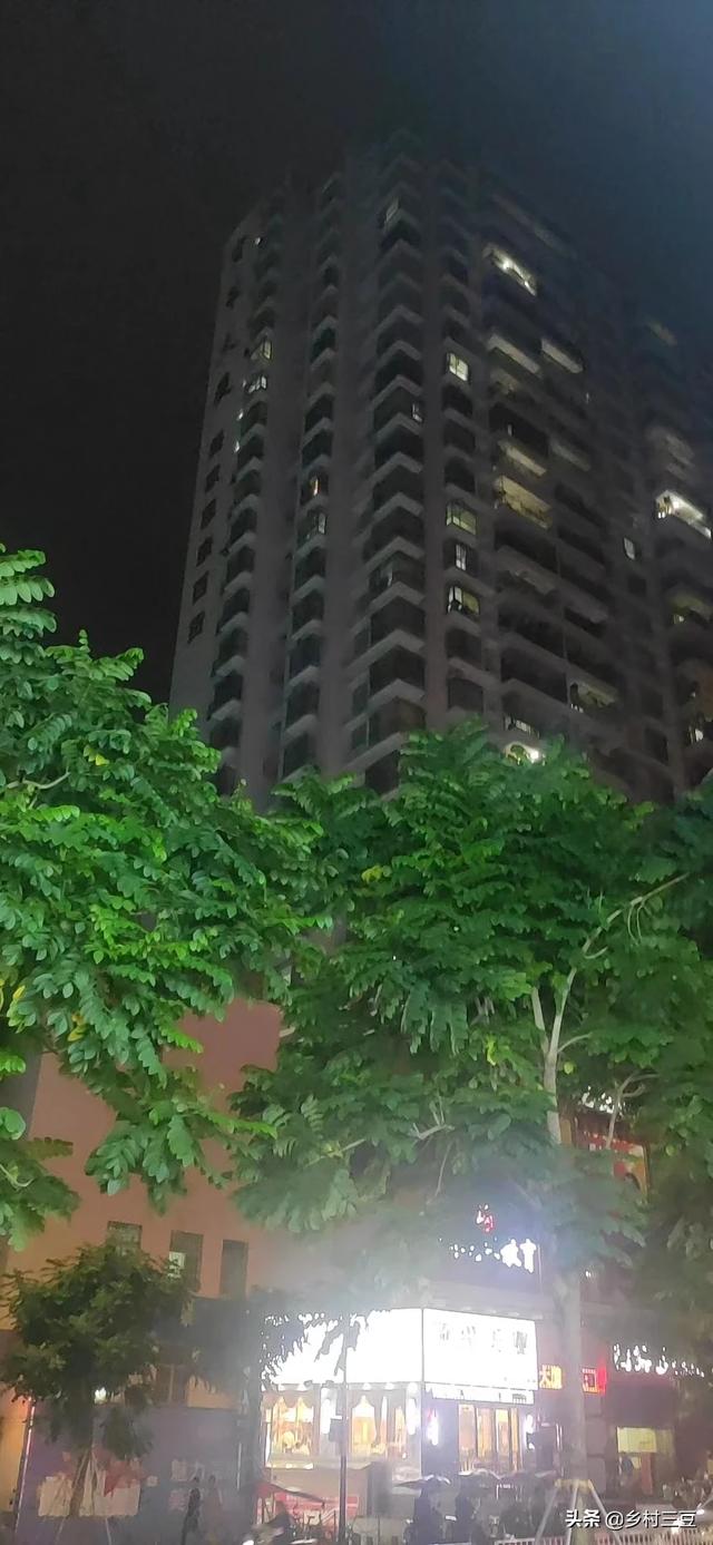 千万不要收养流浪狗_收养流浪狗好吗