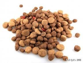 幼犬狗粮怎么泡中间是硬的（幼犬狗粮泡软后水要倒掉吗）